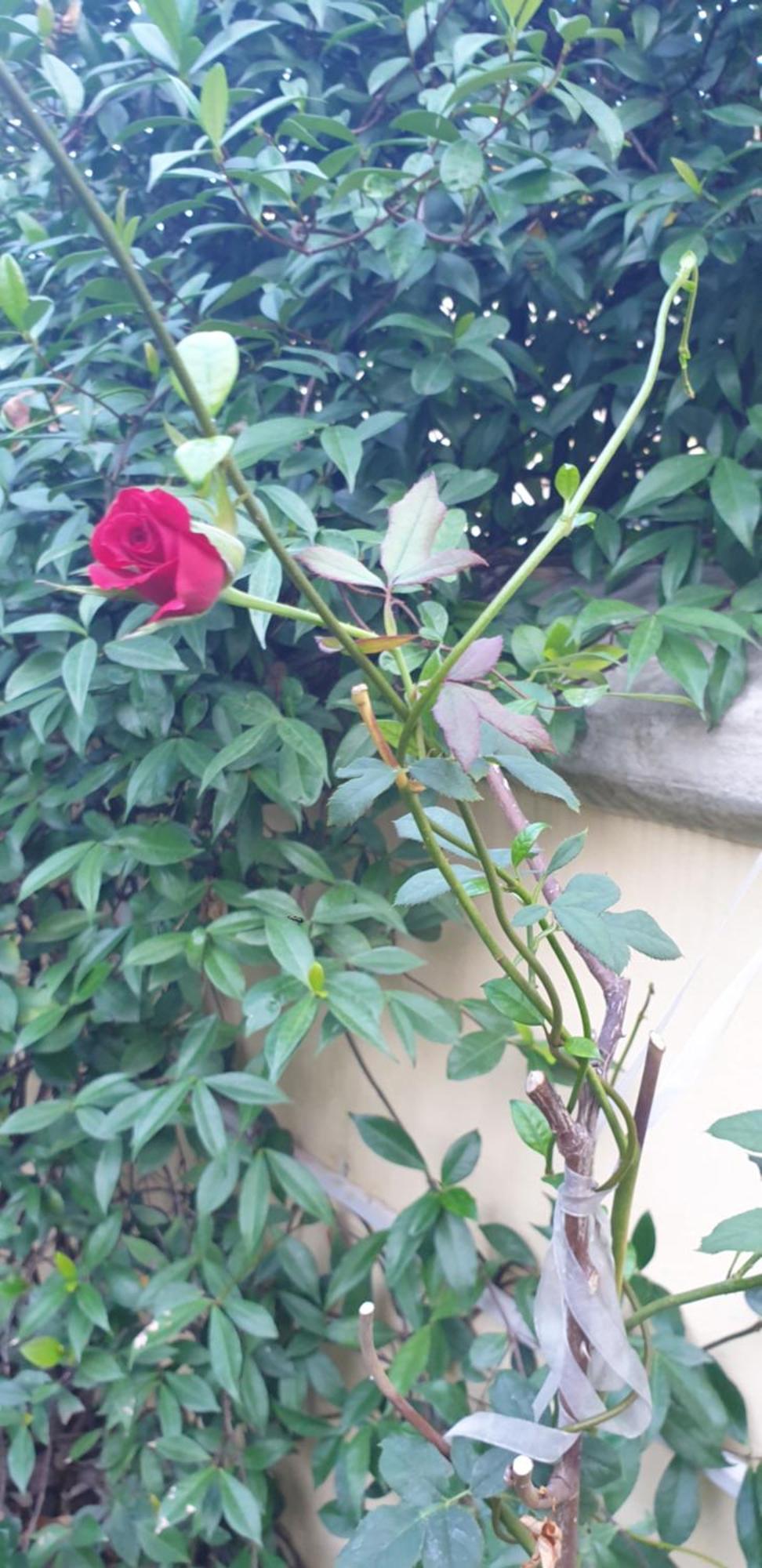 Relais Montedonzelli Couette-café 2*