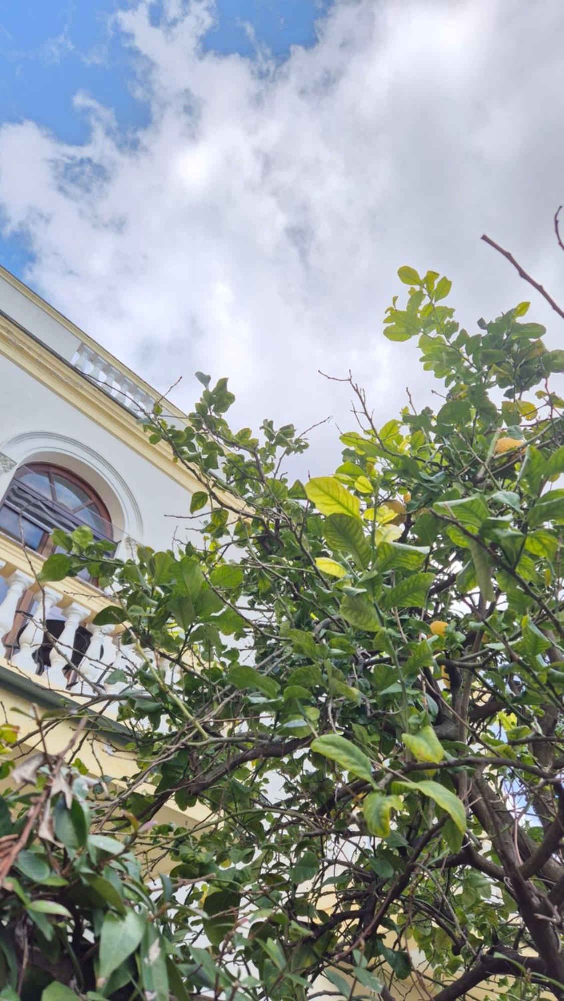 Relais Montedonzelli Bed & Breakfast Napoli